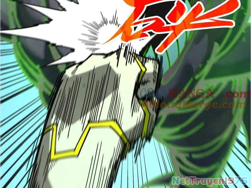 Vạn Cổ Chí Tôn Chapter 417 - 55