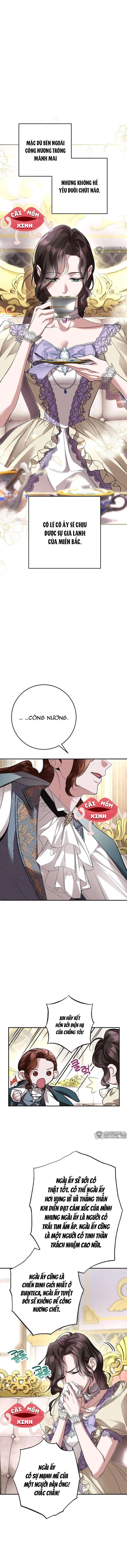 Cuộc Hôn Nhân Bị Bắt Cóc Xuyên Thời Gian Của Hoàng Hậu Chapter 19 - Trang 2
