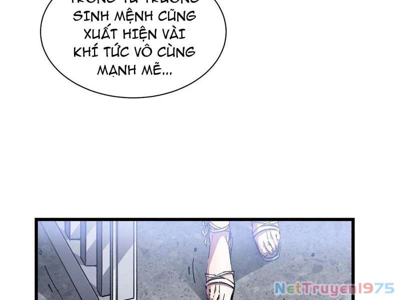 Cao Võ Tiến Hóa: Bắt Đầu Thức Tỉnh Quái Thú Chi Vương Chapter 17 - Trang 2
