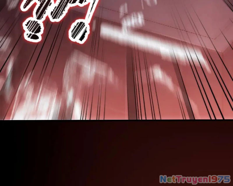 Thánh Hiệp Sĩ Cấp Sss Chapter 74 - Trang 2