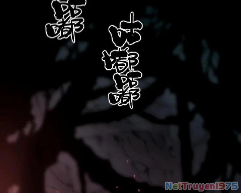Thánh Hiệp Sĩ Cấp Sss Chapter 74 - Trang 2