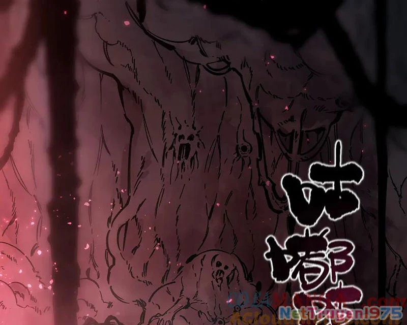 Thánh Hiệp Sĩ Cấp Sss Chapter 74 - Trang 2
