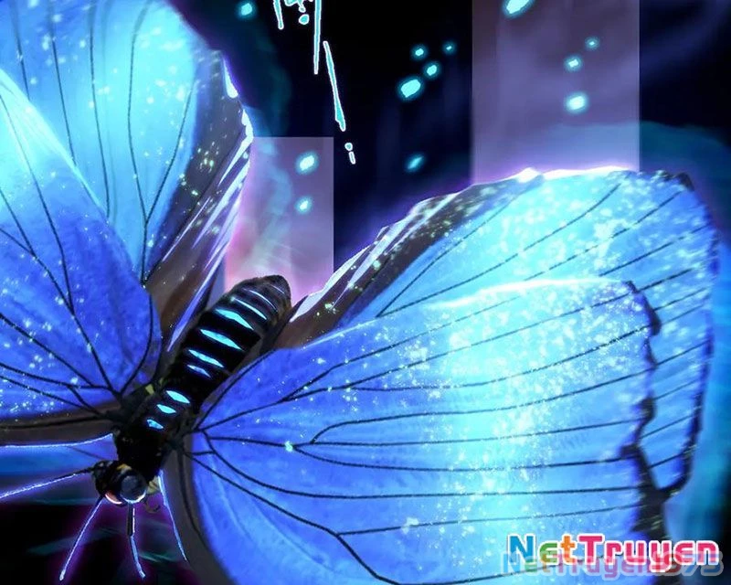 Thánh Hiệp Sĩ Cấp Sss Chapter 74 - Trang 2