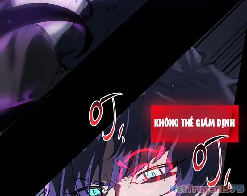 Thánh Hiệp Sĩ Cấp Sss Chapter 74 - Trang 2