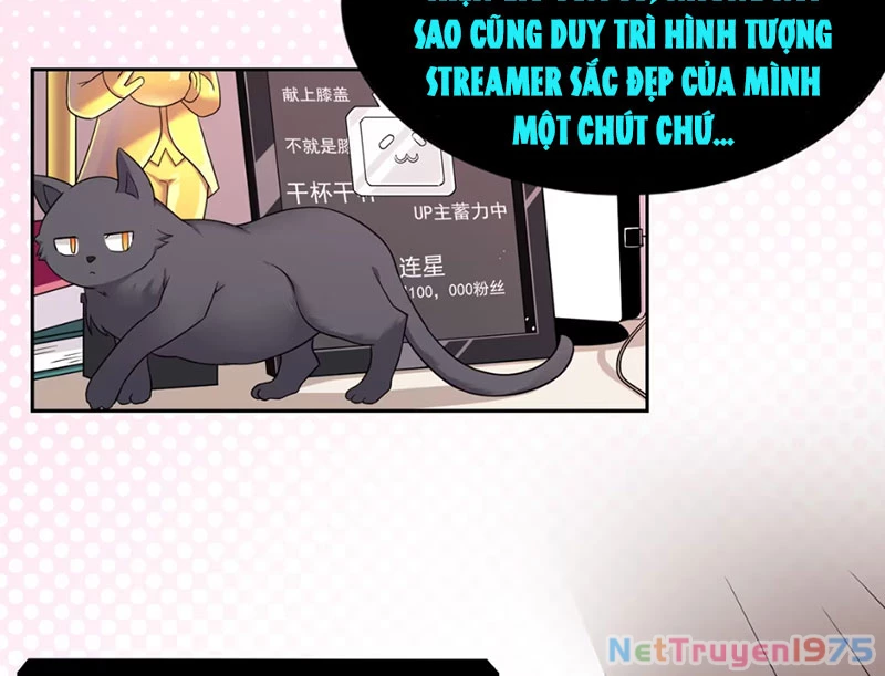 Xong rồi, ta bị sủng thú của mình bao vây rồi! Chapter 1 - Trang 2