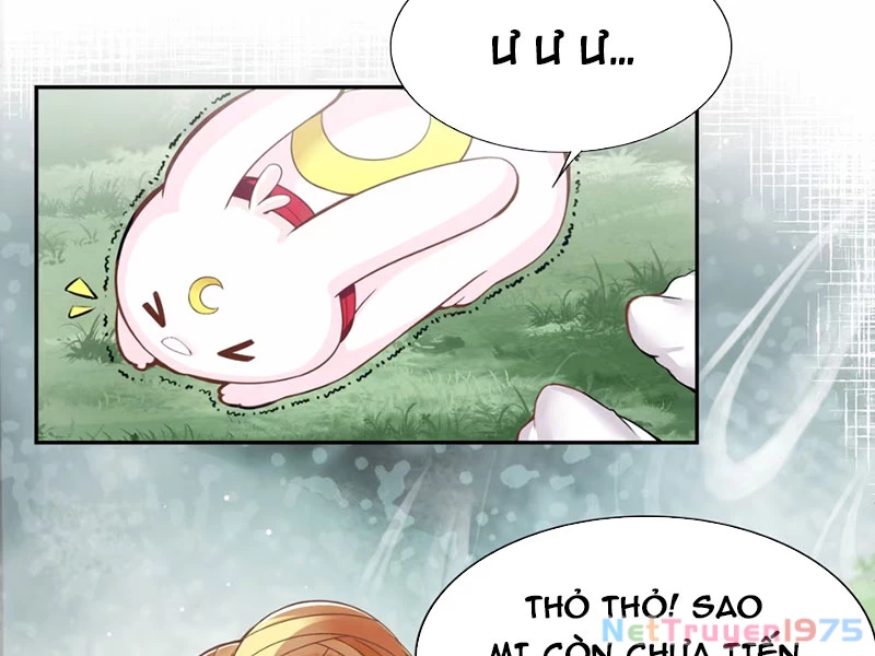 Xong rồi, ta bị sủng thú của mình bao vây rồi! Chapter 1 - Trang 2