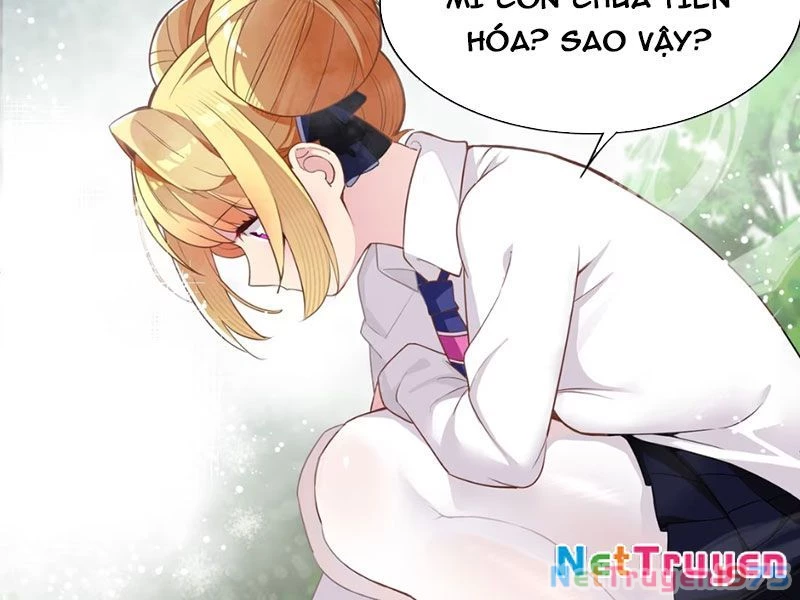 Xong rồi, ta bị sủng thú của mình bao vây rồi! Chapter 1 - Trang 2