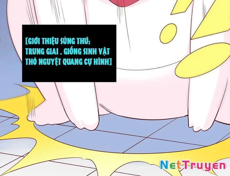 Xong rồi, ta bị sủng thú của mình bao vây rồi! Chapter 3 - Trang 2