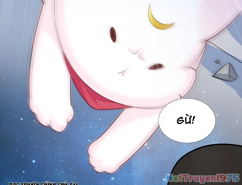 Xong rồi, ta bị sủng thú của mình bao vây rồi! Chapter 3 - Trang 2