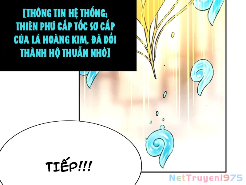 Xong rồi, ta bị sủng thú của mình bao vây rồi! Chapter 4 - Trang 2