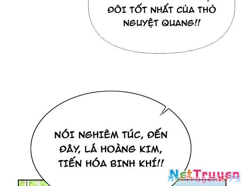 Xong rồi, ta bị sủng thú của mình bao vây rồi! Chapter 5 - Trang 2