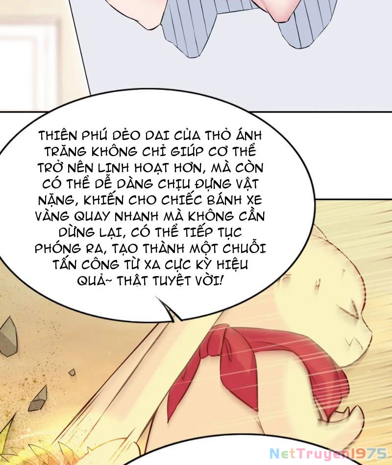Xong rồi, ta bị sủng thú của mình bao vây rồi! Chapter 6 - 68