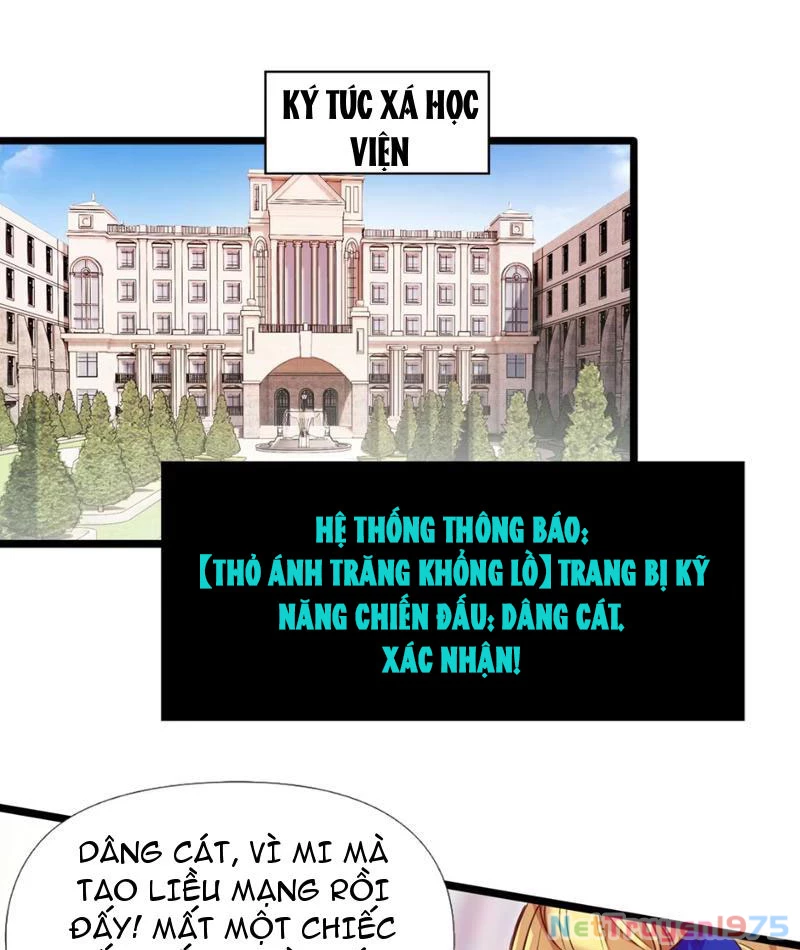 Xong rồi, ta bị sủng thú của mình bao vây rồi! Chapter 8 - Trang 2
