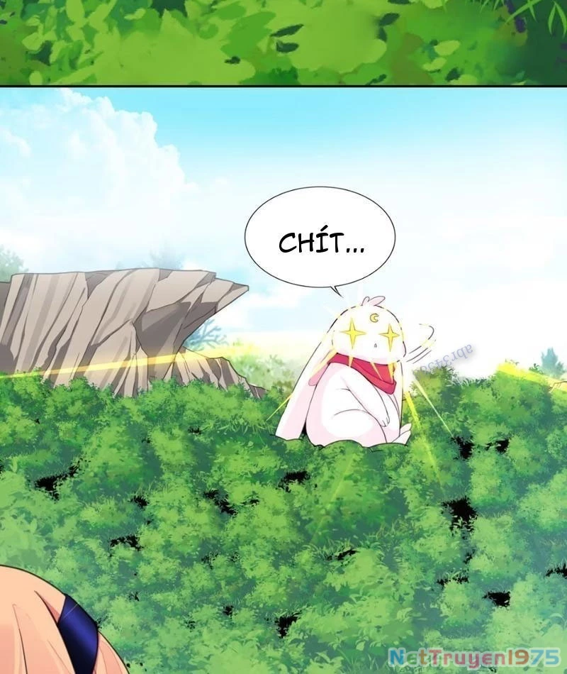 Xong rồi, ta bị sủng thú của mình bao vây rồi! Chapter 8 - Trang 2