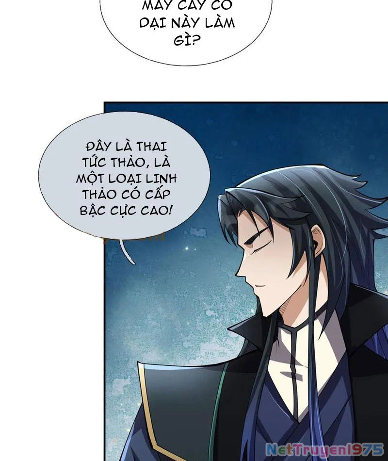 Ngủ Say Vạn Cổ: Xuất Thế Quét Ngang Chư Thiên Chapter 102 - Trang 2
