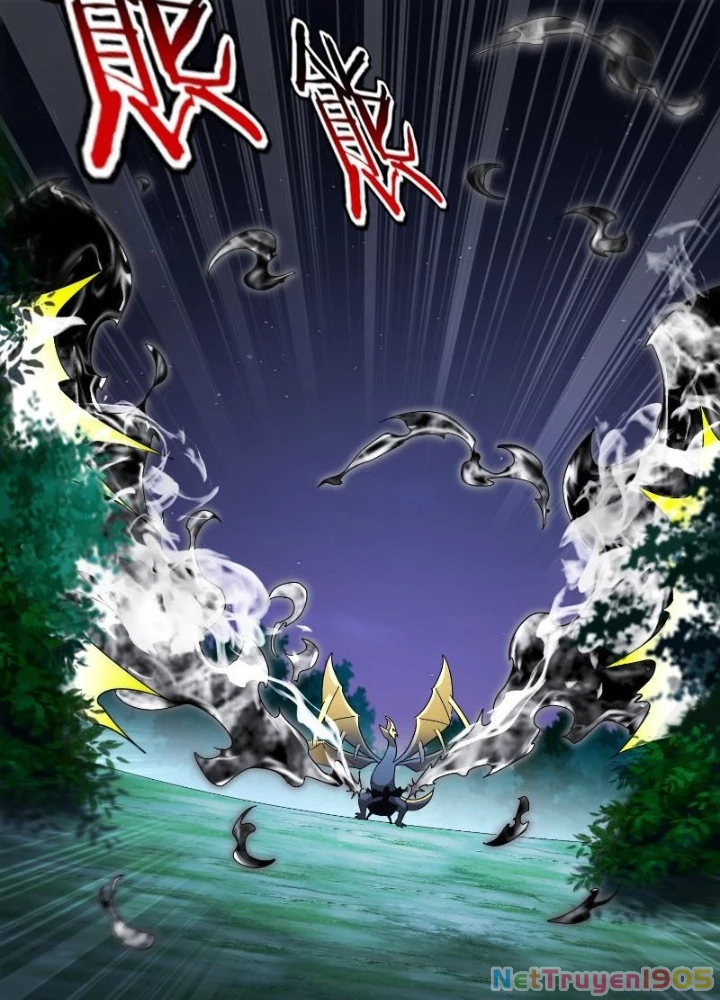 Tuyệt Sắc Đạo Lữ Đều Nói Ngô Hoàng Thể Chất Vô Địch Chapter 382 - 17