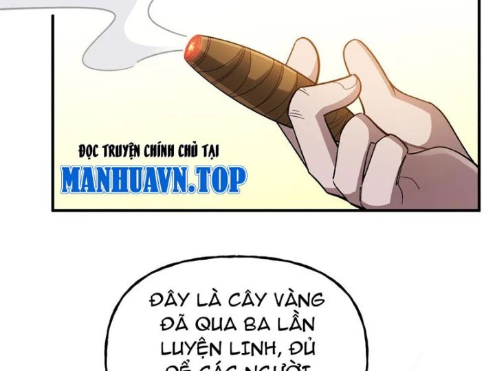 Trùng Sinh Tại Thế Giới Tu Chân, Ta Giết Tới Đỉnh Chapter 3 - Trang 2