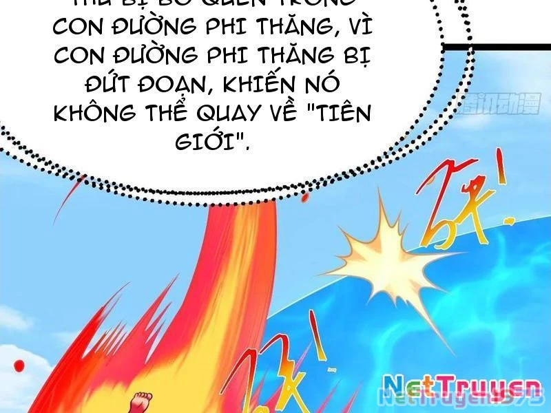 Chính Nghĩa Không!! Ta Trở Thành Phản Diện Chapter 138 - Trang 2