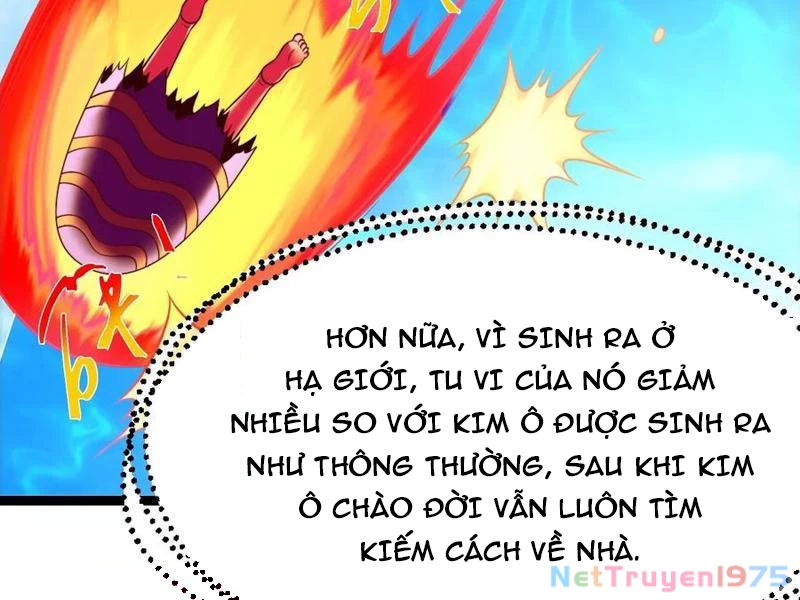 Chính Nghĩa Không!! Ta Trở Thành Phản Diện Chapter 138 - Trang 2