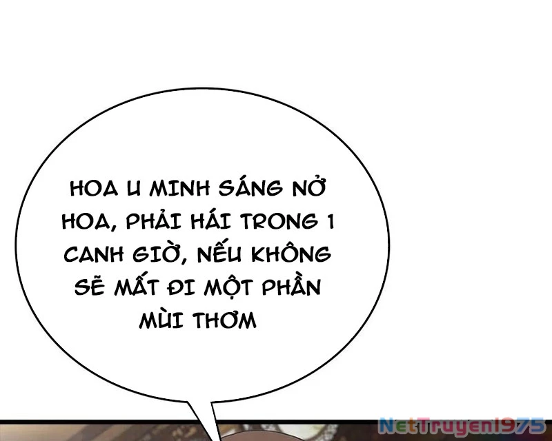Tu Tiên Trở Về Tại Vườn Trường - Phần 2 Chapter 163 - Trang 2