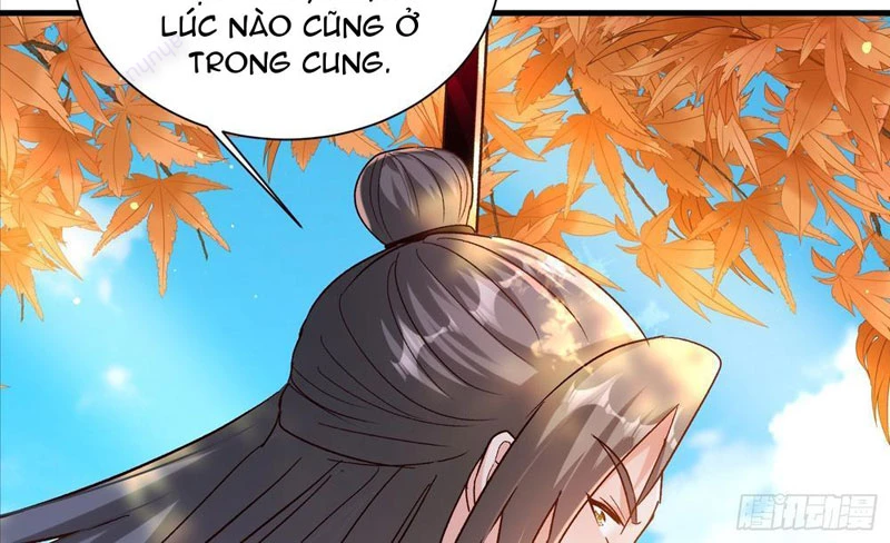 Hệ Thống Hèn Mọn Quỳ Xuống Cầu Xin Ta Vô Địch Chapter 49 - 62