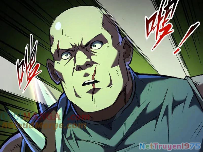 Tai Ách Cấp Mục Sư Chapter 37 - Trang 2