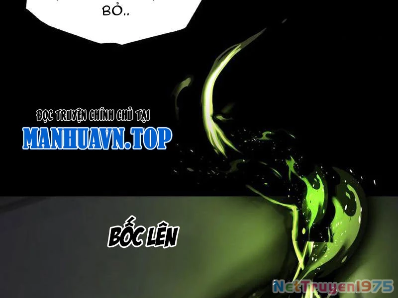 Tai Ách Cấp Mục Sư Chapter 37 - Trang 2