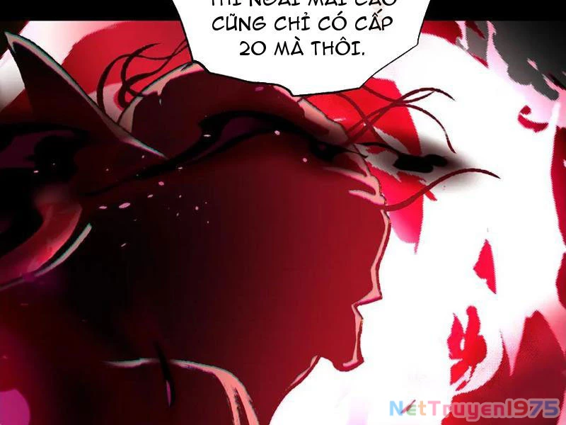 Tai Ách Cấp Mục Sư Chapter 38 - Trang 2