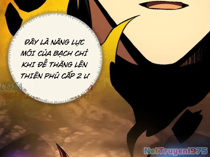 Tai Ách Cấp Mục Sư Chapter 39 - Trang 2