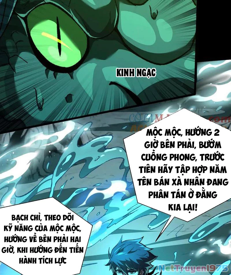 Tai Ách Cấp Mục Sư Chapter 41 - Trang 2