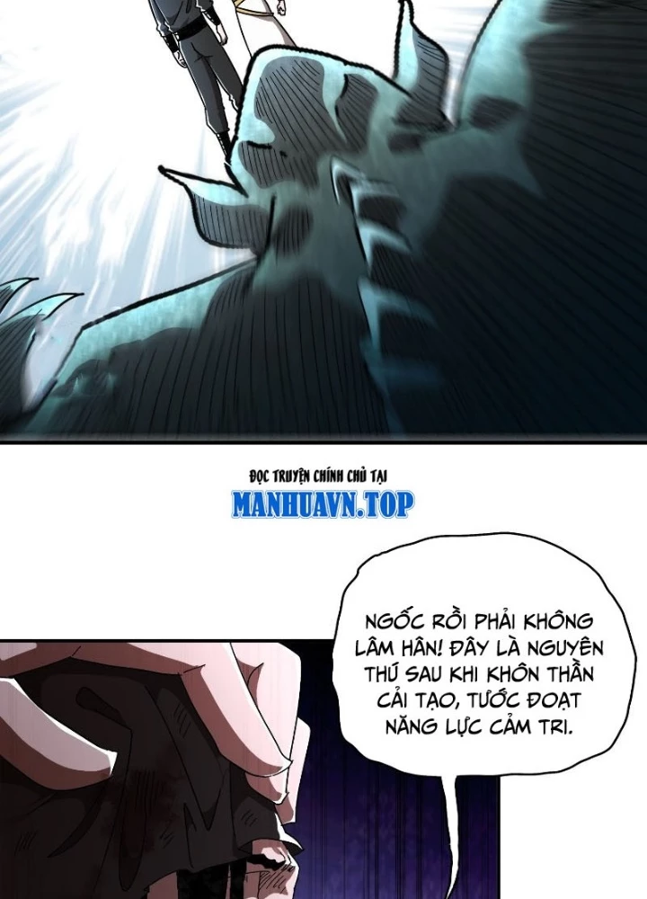Tuyệt Sắc Đạo Lữ Đều Nói Ngô Hoàng Thể Chất Vô Địch Chapter 384 - 11