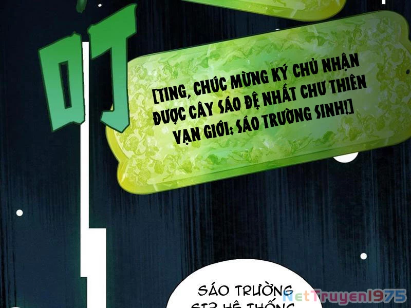 Gặp Mạnh Thì Mạnh, Ta Tu Vi Vô Thượng Hạn Chapter 42 - 60