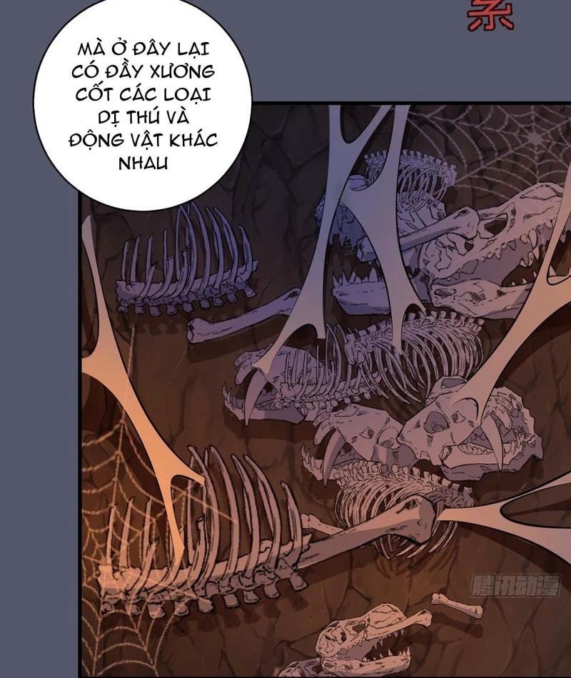 Ta dựa vào hậu cung chinh phục thế giới Chapter 34 - 53