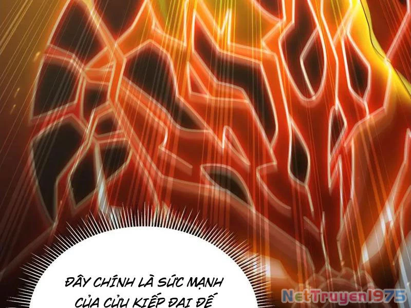 Bắt Đầu Chấn Kinh Nữ Đế Lão Bà, Ta Vô Địch! Chapter 75 - 80