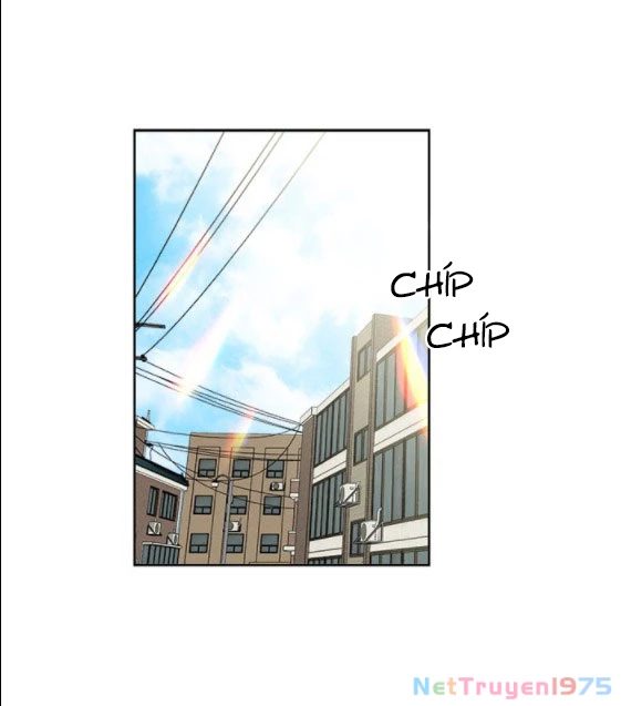 Mẹ Ơi, Con Xin Lỗi! Chapter 11 - 3