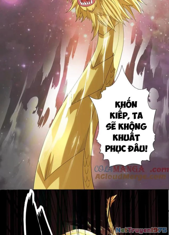 Ta Có Thể Đốn Ngộ Vô Hạn Chapter 259 - 3