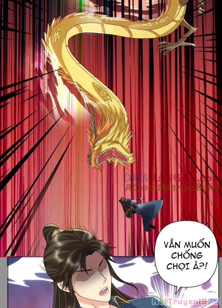Ta Có Thể Đốn Ngộ Vô Hạn Chapter 259 - 5