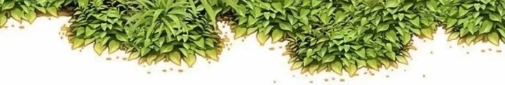 Tôi Chỉ Là Người Khuân Vác Trong Hầm Ngục Chapter 17 - 18