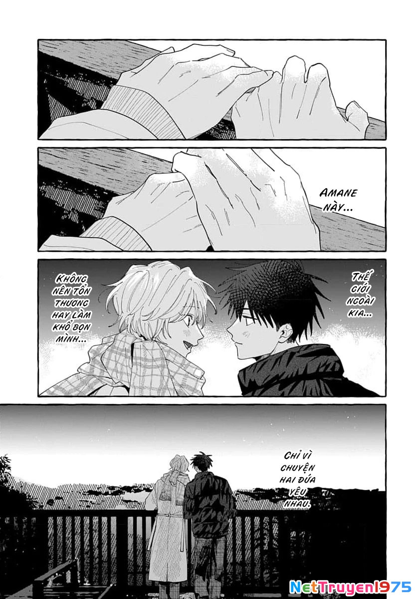 Kimi to Nara Koi wo Shite Mite mo Chapter 26 - 25