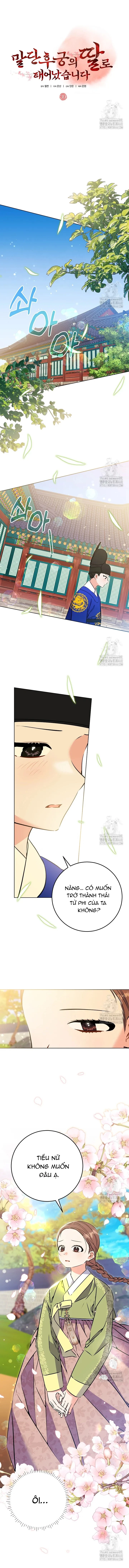 Tôi Sinh Ra Là Con Gái Của Một Thứ Phi Thấp Hèn Chapter 39 - 5