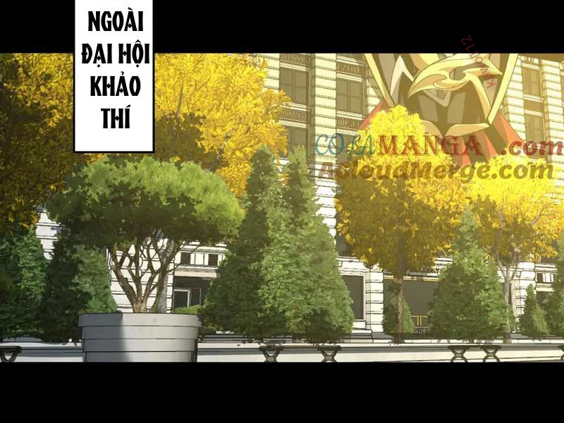 Tai Ách Cấp Mục Sư Chapter 42 - Trang 2