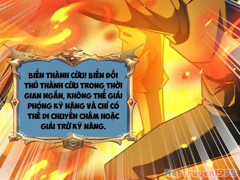Tai Ách Cấp Mục Sư Chapter 42 - Trang 2