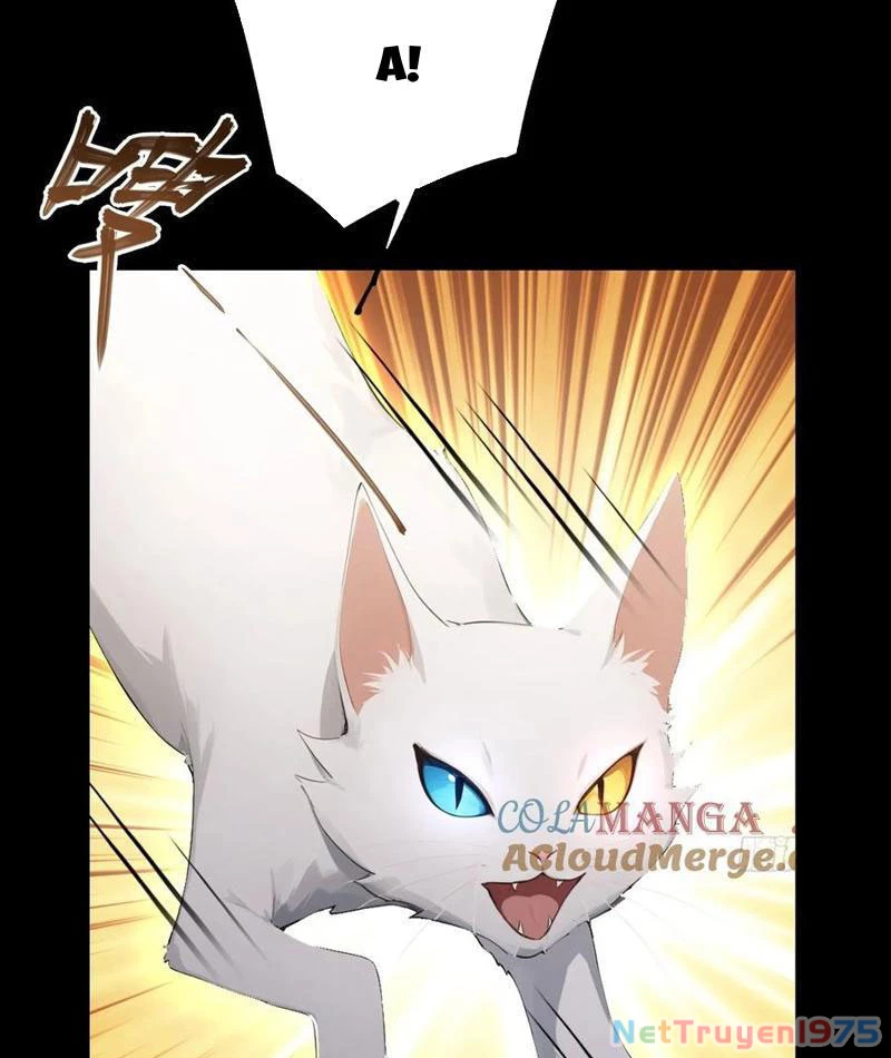 Ảo Ma! Ta Mở Lớp Huấn Luyện Nữ Đế! Chapter 95 - 53