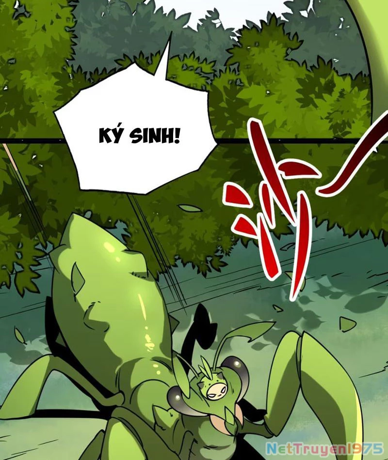 Pháp Sư Ký Sinh Chapter 5 - Trang 2