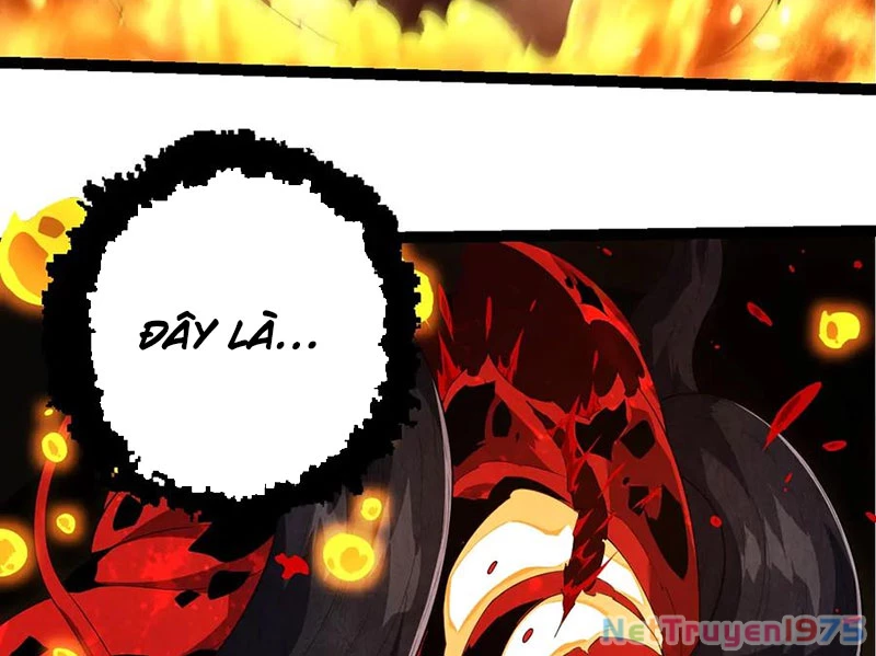 Chuyển Sinh Thành Liễu Đột Biến Chapter 370 - 23