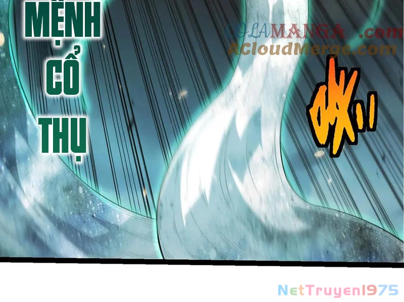 Chuyển Sinh Thành Liễu Đột Biến Chapter 370 - 39