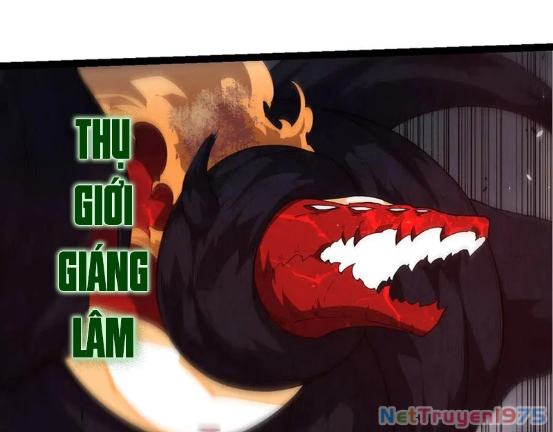 Chuyển Sinh Thành Liễu Đột Biến Chapter 370 - 55