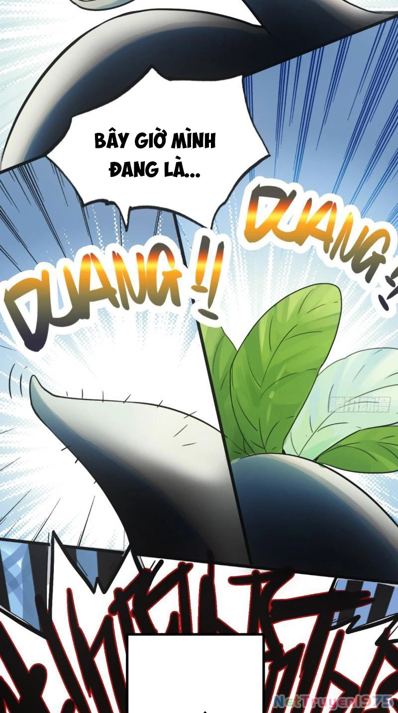Đừng Xem Thường Một Củ Cải Chapter 1 - 27