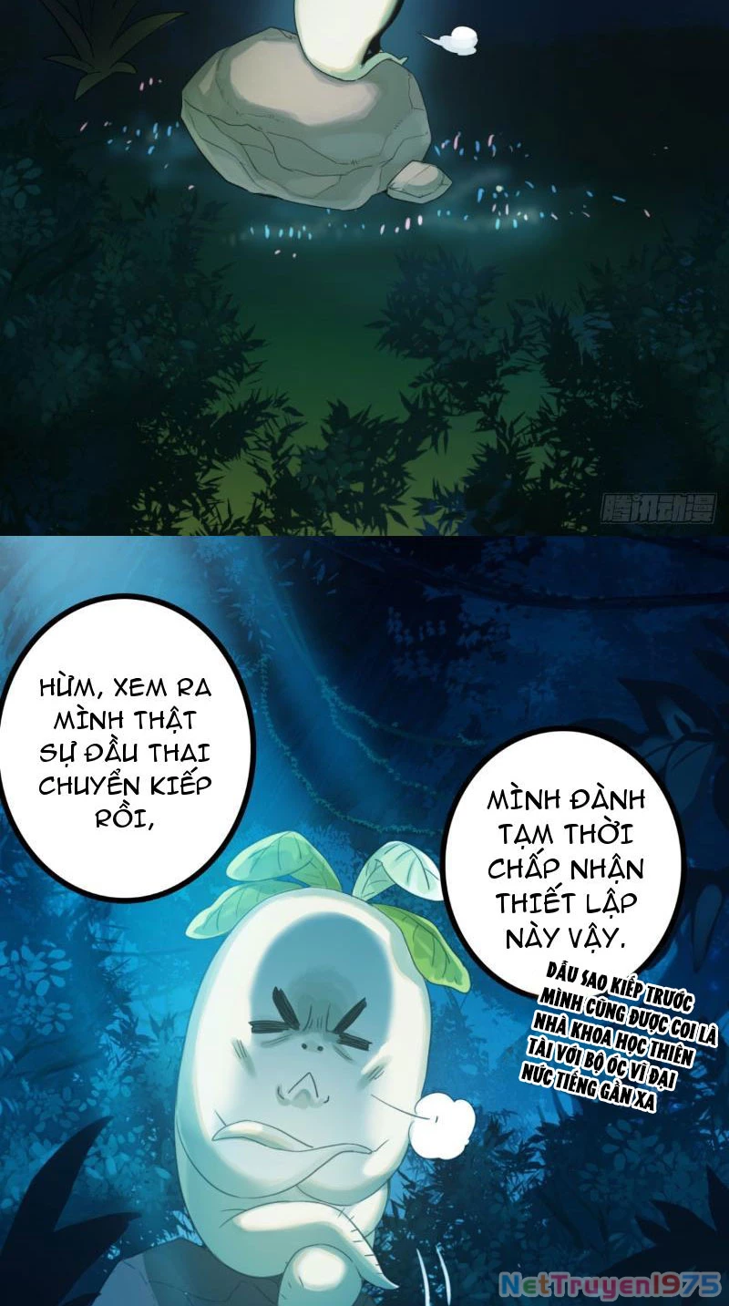 Đừng Xem Thường Một Củ Cải Chapter 1 - 31