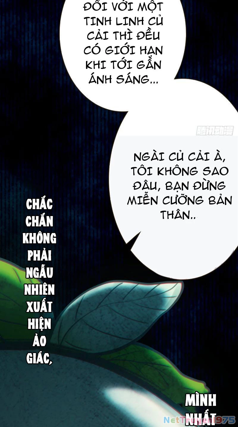 Đừng Xem Thường Một Củ Cải Chapter 2 - 19
